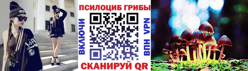 купить закладку  Набережные Челны  дарк нет телеграм  Галлюциногенные грибы прущие грибы 